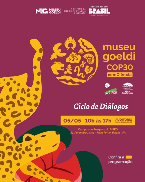 captura-de-tela-2025-05-03-103914 captura-de-tela-2025-05-03-103914